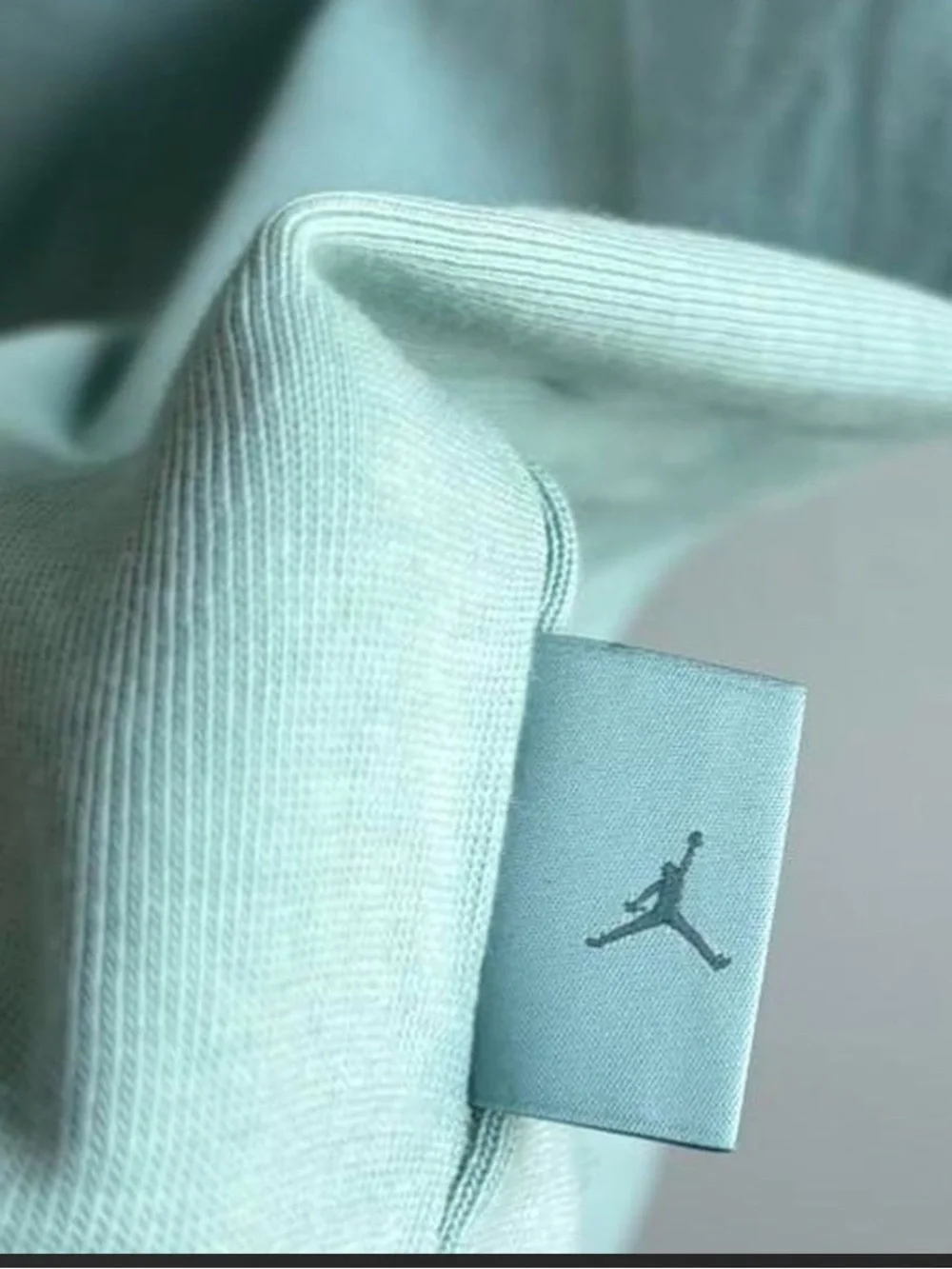 Jordan Embroidered Tee in Light Teal